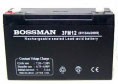 Bossman Profi 3 FM 12 Аккумулятор, 6v-12ah (6в 12ач) 6 Вольт 12 Ампер-часов