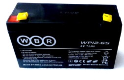 WBR WP6-12 (6V-12Ah) ОРИГИНАЛ усиленный Тяговая серия-DZM для транспорта (премиум клас) 